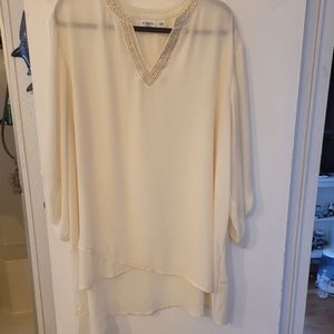 Beautiful silky sheer dress shirt